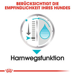 Royal Canin Urinary Care Mousse Nassfutter für erwachsene Hunde mit empfindlichen Harnwegen 48 x 85 g - 12 x 85 g – Bild 1 von 5