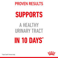 Produktbild von Royal Canin Urinary Care Nassfutter Stückchen in Gelee für Katzen 48x85g