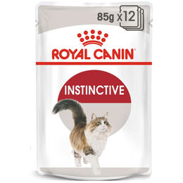 Royal Canin Urinary Katzenfutter Adult Stückchen in Soße 48x85g – Bild 1 von 4