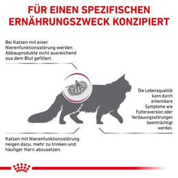 Royal Canin Veterinary Diet Feline Renal Diätfutter für erwachsene Katzen zur Unterstützung bei Nierenproblemen 400 g - 400 g – Bild 1 von 3