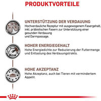 Produktbild von Royal Canin Veterinary Gastrointestinal Trockenfutter für Katzen 2x4kg