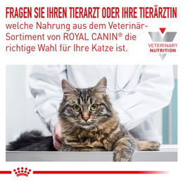 Royal Canin Veterinary Hypoallergenic Diätfutter für erwachsene Hunde 2x4,5 kg - 2 x 4,5 kg – Bild 1 von 2
