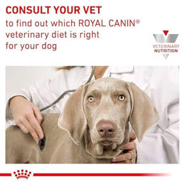 Royal Canin Veterinary Sensitivity Control Mousse Huhn & Reis Diät-Alleinfuttermittel für erwachsene Hunde 24 x 410 g - 12 x 410 g – Bild 1 von 2