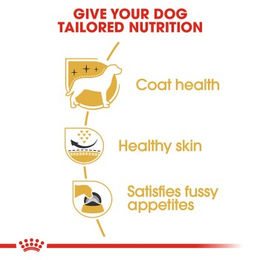 Royal Canin West Highland White Terrier Adult Hundefutter für Haut und Fell 2x3 kg - 2 x 3 kg – Bild 1 von 2
