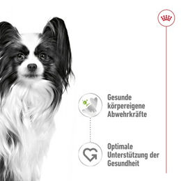 Royal Canin X-Small Adult Hundefutter Stückchen in Sauce 12x85 g – Bild 1 von 2