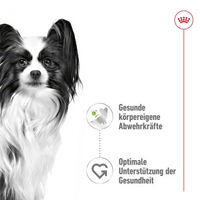 Produktbild von Royal Canin X-Small Adult Hundefutter Stückchen in Sauce 12x85 g