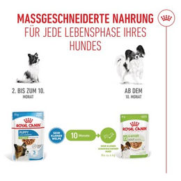 Royal Canin X-Small Puppy Hundefutter Stückchen in Sauce 12x85 g – Bild 1 von 2