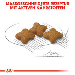 Royal Canin X-Small Sterilised Trockenfutter für ausgewachsene sehr kleine Hunde zur Gewichtskontrolle 1,5 kg - 1,5 kg – Bild 1 von 5