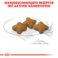 Produktbild von Royal Canin X-Small Sterilised Trockenfutter für ausgewachsene sehr kleine Hunde zur Gewichtskontrolle 1,5 kg - 1,5 kg