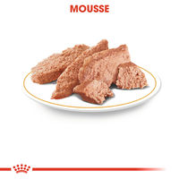 Produktbild von Royal Canin Yorkshire Terrier Adult Mousse Nassfutter für Hunde 12 x 85 g - 12 x 85 g