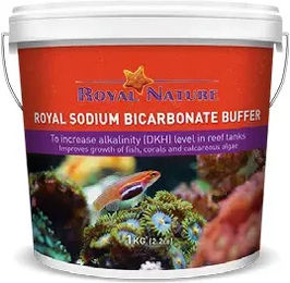 Royal Nature Bicarbonat-Natron Wasserbehandlung – Bild 1 von 1