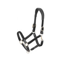Produktbild von RS Braidy Anatomisches Lederhalfter für Pferde in Schwarz