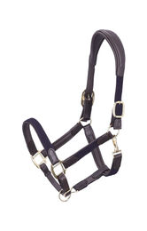 Produktbild von RS Braidy Anatomisches Lederhalfter für Pferde in Schwarz