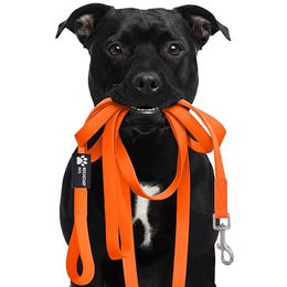 RS Pets Biothane Hundeleine wasserabweisend Orange 5m – Bild 1 von 10