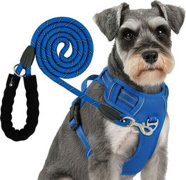 RS Pets Hundegeschirr und Leinen Set Blau aus atmungsaktivem Netzgewebe und wasserabweisendem Oxford-Stoff – Bild 1 von 2