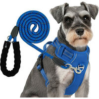 Produktbild von RS Pets Hundegeschirr und Leinen Set Blau aus atmungsaktivem Netzgewebe und wasserabweisendem Oxford-Stoff