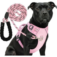 Produktbild von RS Pets Hundegeschirr und Leinen Set für Hunde in Pink Rosa aus wasserabweisendem Oxford-Gewebe und atmungsaktivem Netzgewebe