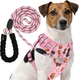 RS Pets Hundegeschirr und Leinen Set Rosa aus atmungsaktivem Netzgewebe und wasserabweisendem Oxford-Stoff für Hunde – Bild 1 von 2