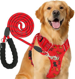 RS Pets Hundegeschirr und Leinen Set Rot aus wasserabweisendem Oxford-Gewebe und atmungsaktivem Netzgewebe – Bild 1 von 2