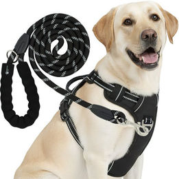 RS Pets Hundegeschirr und Leinen Set Schwarz aus atmungsaktivem Netzgewebe und wasserabweisendem Oxford-Stoff für erwachsene Hunde – Bild 1 von 2