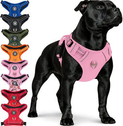 RS Pets Norwegergeschirr für Hunde aus atmungsaktivem Netzgewebe und Oxford-Stoff in Pink/Rosa – Bild 1 von 3
