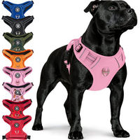 Produktbild von RS Pets Norwegergeschirr für Hunde aus atmungsaktivem Netzgewebe und Oxford-Stoff in Pink/Rosa