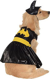 Rubies DC Heroes and Villains Collection Batgirl Haustierkostüm Schwarz Größe M - 1 Stk. – Bild 1 von 4