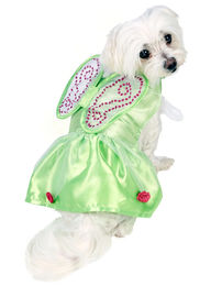 Produktbild von Rubies Tinkerbell Hundekostüm in Grün Größe XS aus Polyester