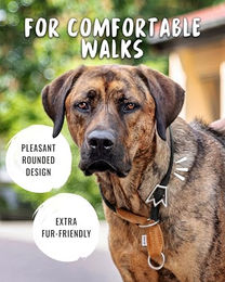 Rudelkönig Emma Zugstopphalsband für große Hunde aus Nylon in Schwarz 55 cm wasserabweisend – Bild 1 von 7