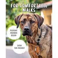 Produktbild von Rudelkönig Emma Zugstopphalsband für große Hunde aus Nylon in Schwarz 55 cm wasserabweisend