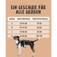 Produktbild von Rudelkönig Hundegeschirr Paola Sicherheitsgeschirr mit Haltegriff und Reflektoren Schwarz Größe M