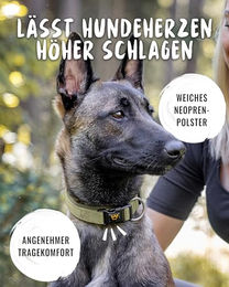 Rudelkönig Hundehalsband Bella aus Nylon für große Hunde in Grün oder Beige - 1 Stk. – Bild 1 von 5