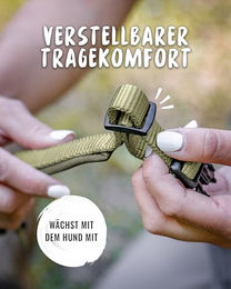 Rudelkönig Hundehalsband Bella aus Nylon für große Hunde in Grün oder Beige Gr. 6 (50-55 cm) - 1 Stk. – Bild 1 von 5