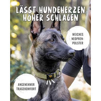 Produktbild von Rudelkönig Hundehalsband Bella aus Nylon für Hunde in Beige und Grün - 1 Stk.
