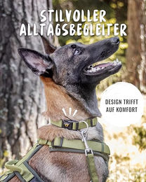 Rudelkönig Hundehalsband Bella aus Nylon für kleine Hunde in Beige und Grün - 1 Stk. – Bild 1 von 4