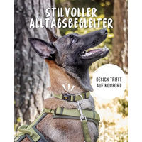 Produktbild von Rudelkönig Hundehalsband Bella aus Nylon für kleine Hunde in Beige und Grün - 1 Stk.
