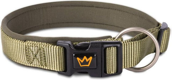Rudelkönig Hundehalsband Bella gepolstert aus Nylon wasserabweisend für Welpen und Hunde in Beige oder Grün - 1 Stk. – Bild 1 von 7