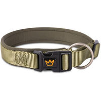 Produktbild von Rudelkönig Hundehalsband Bella gepolstert aus Nylon wasserabweisend für Welpen und Hunde in Beige oder Grün - 1 Stk.