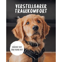 Produktbild von Rudelkönig Hundehalsband Paola aus Nylon mit Reflektierung Schwarz - 1 Stk.