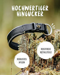 Rudelkönig Hundehalsband Paola aus Nylon reflektierend schwarz für große Hunde – Bild 1 von 6