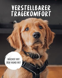 Rudelkönig Hundehalsband Paola Reflektierend aus Nylon Schwarz für kleine Hunde - 1 Stk. – Bild 1 von 4