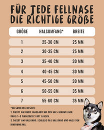 Rudelkönig Hundehalsband Paola Schwarz aus Nylon wasserabweisend und reflektierend – Bild 1 von 6