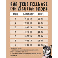 Produktbild von Rudelkönig Hundehalsband Paola Schwarz aus Nylon wasserabweisend und reflektierend