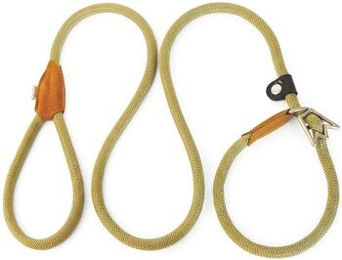 Rudelkönig Moxonleine mit Erziehungshalsband für Hunde und Riesenrassen aus Nylon in Grün – Bild 1 von 3