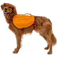 Produktbild von Ruffwear Approach Pack Hunderucksack Sportgeschirr mit integriertem Geschirr Orange XL