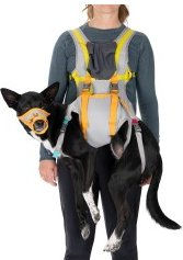 Ruffwear BackTrak Evakuierungsset Hundetragegeschirr Grau Größe S – Bild 1 von 10
