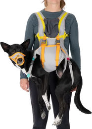 Produktbild von Ruffwear BackTrak Rettungsweste für Hunde in Grau Größe S