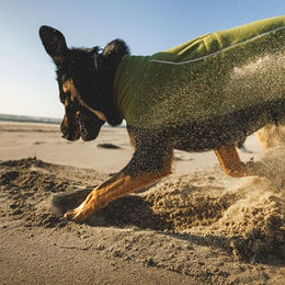 Ruffwear Climate Changer Hundeweste Winterjacke aus Polyester in Grau Grösse S – Bild 1 von 4