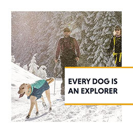 Ruffwear Confluence Hundehalsband wasserdicht aus Polyester in Türkis Blau Grösse L – Bild 1 von 4