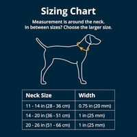 Produktbild von Ruffwear Crag Hundehalsband Größe M mit Aluminium-V-Ring